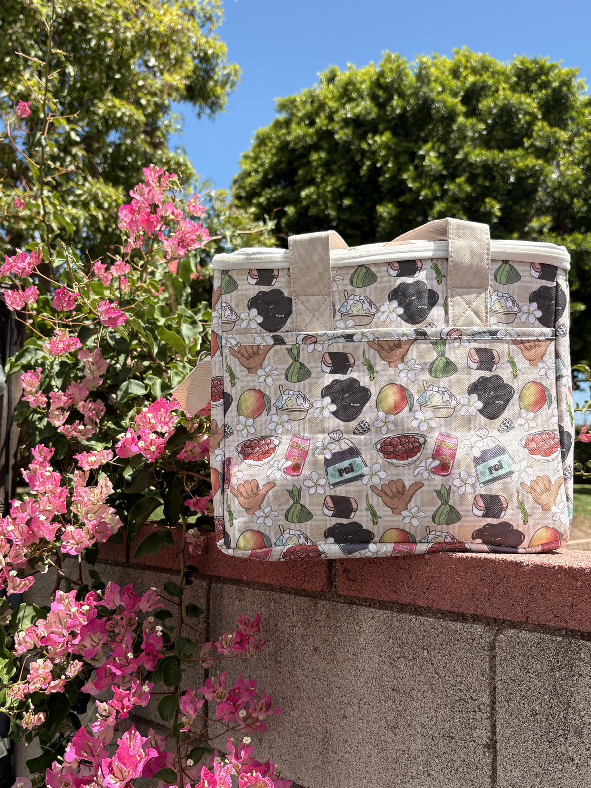 ONO SNACKS COOLER