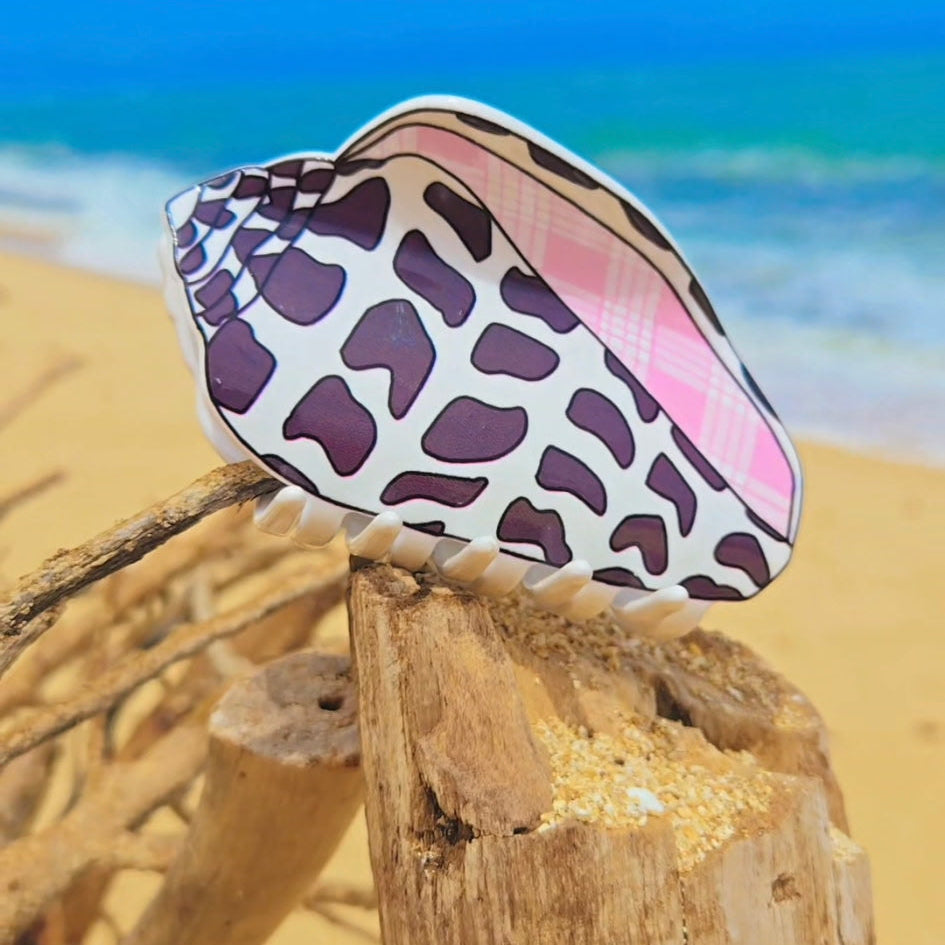 HEBREW SHELL HAIR CLIP